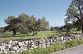 Sicily, the Iblei landscape 